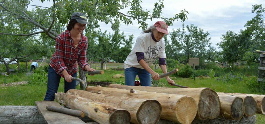 Farm and homestead day participants work on logs