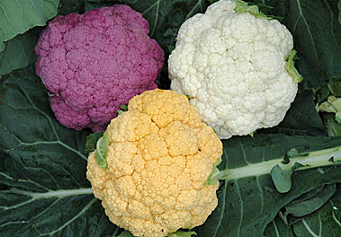 Colorful Cauliflower