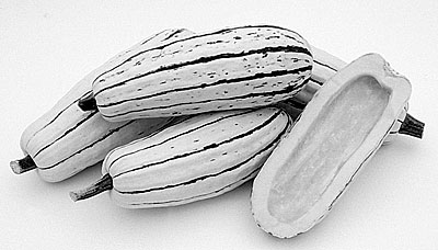 Delicata squash