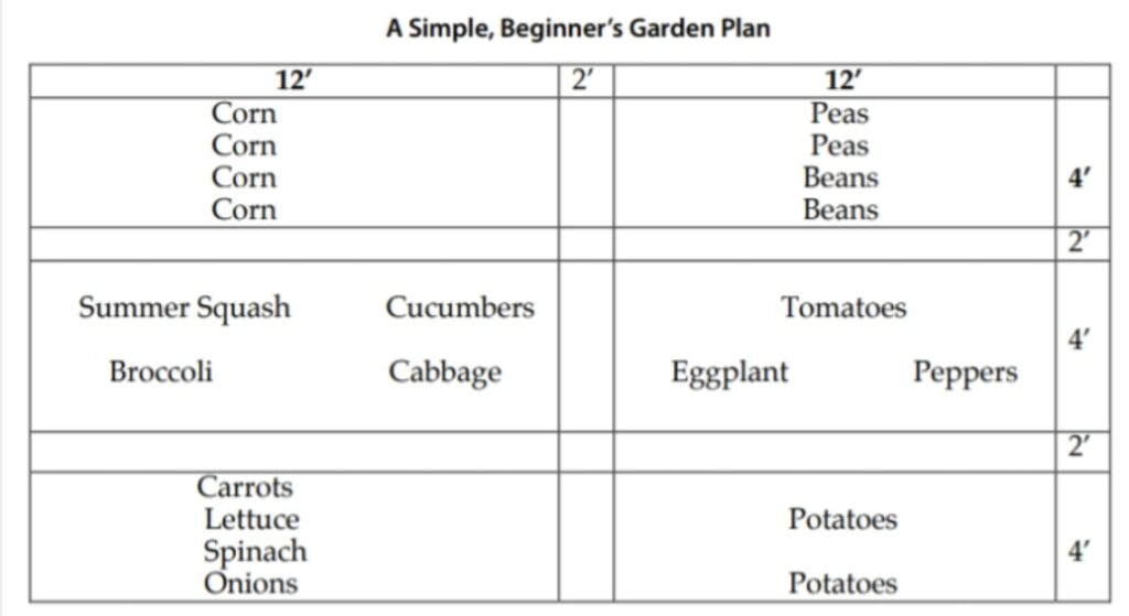 Beginner's Garden Plan