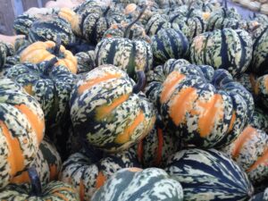 Acorn-shaped winter squash with green, orange and pale yellow stripes and speckles