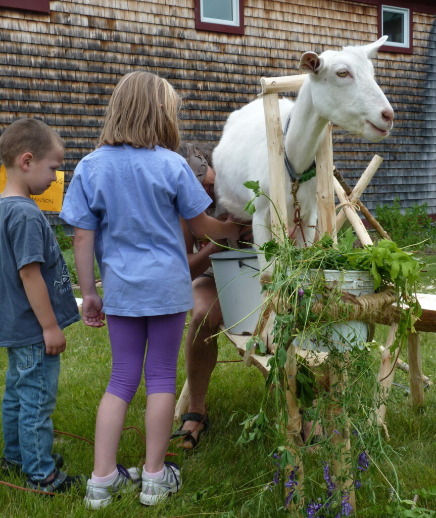 Kids watch a goat milking demonstration.