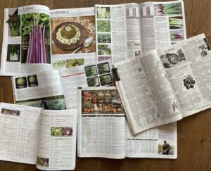 Six seed catalogs are strewn on a wood floor, their pages turned to vegetable and herb descriptions.